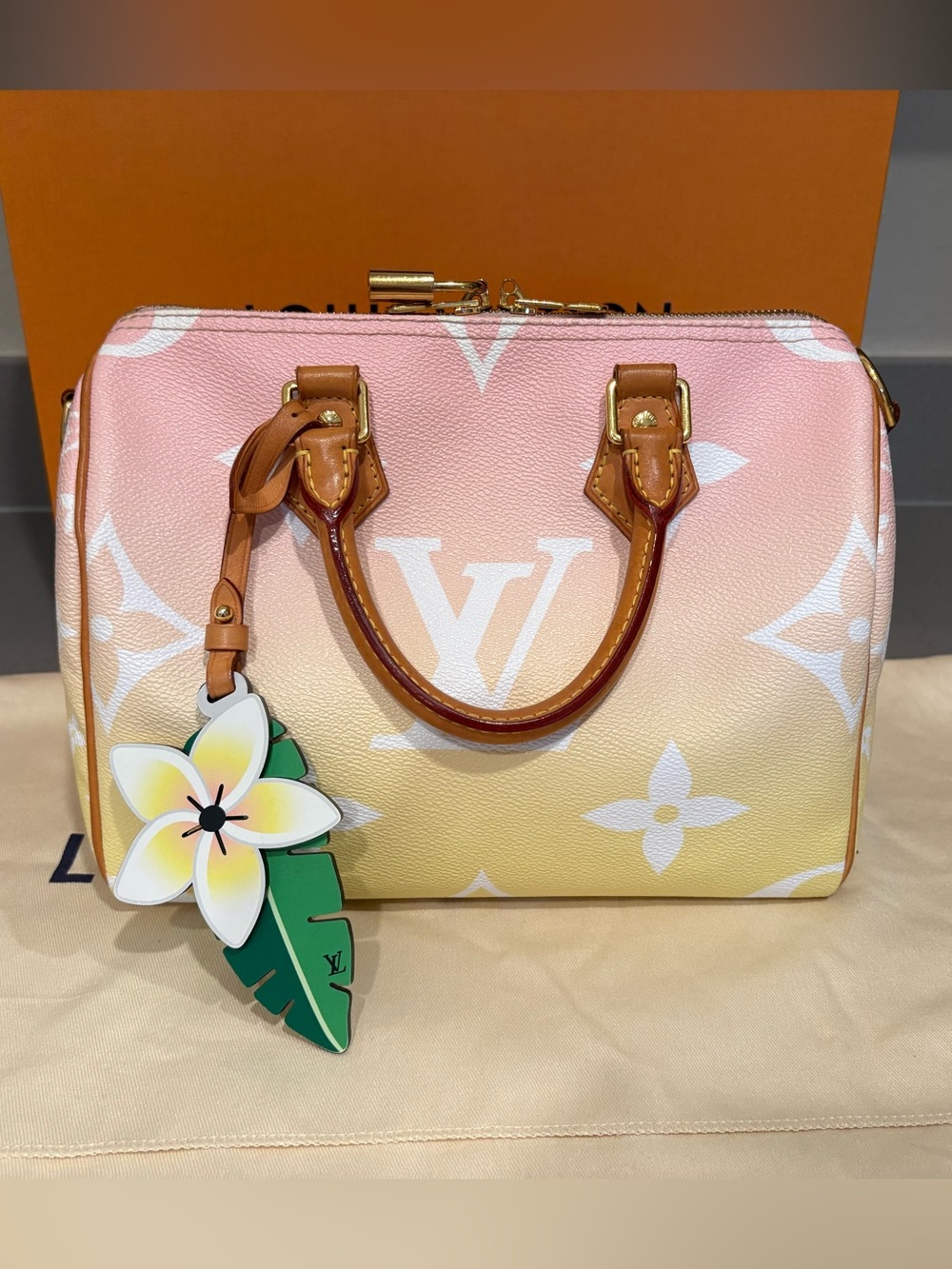 Louis Vuitton Speedy 25 Bandouliere Pool Rose M45724 ByThePool FullSet Authentic